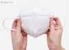 White Color Fold Type Mask for Adult